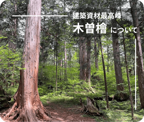 建築資材最高峰 木曽檜について